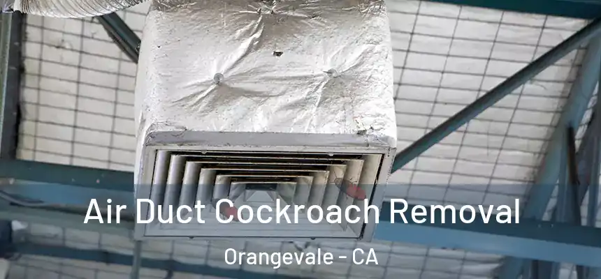  Air Duct Cockroach Removal Orangevale - CA