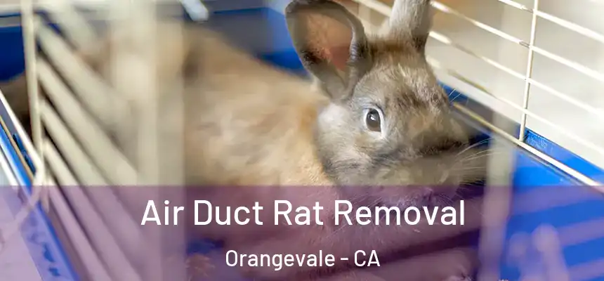 Air Duct Rat Removal Orangevale - CA