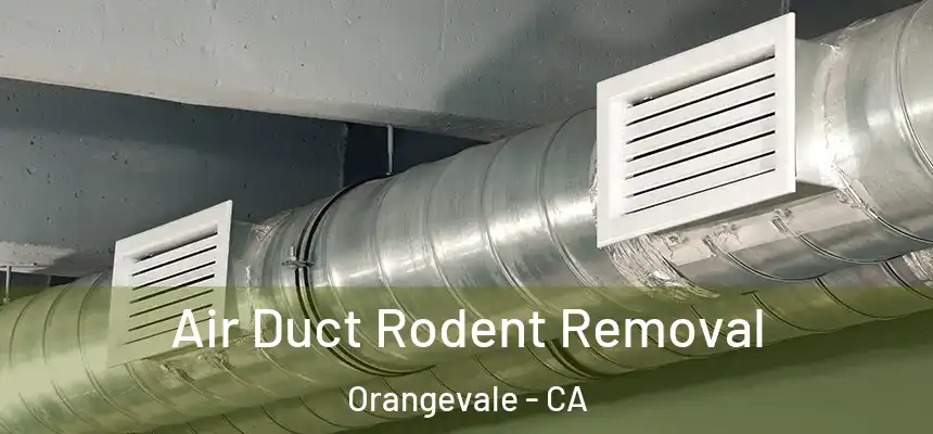 Air Duct Rodent Removal Orangevale - CA