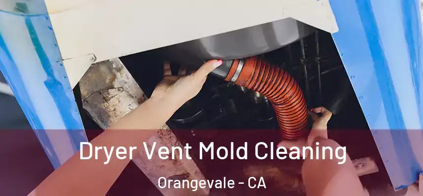  Dryer Vent Mold Cleaning Orangevale - CA