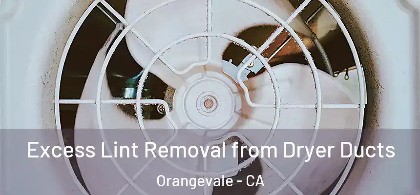 Excess Lint Removal from Dryer Ducts Orangevale - CA
