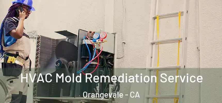  HVAC Mold Remediation Service Orangevale - CA