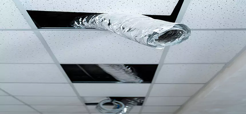 Our Air Duct Pet Hair Removal Services in Orangevale, CA