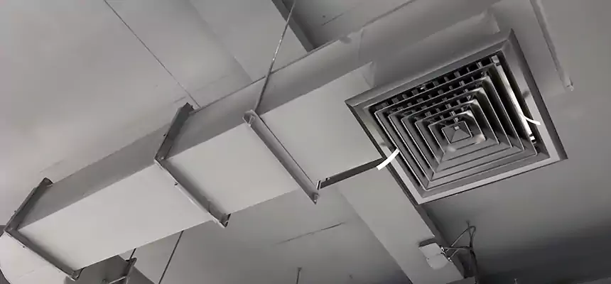 Our Pest Removal From Ducts Services in Orangevale, CA