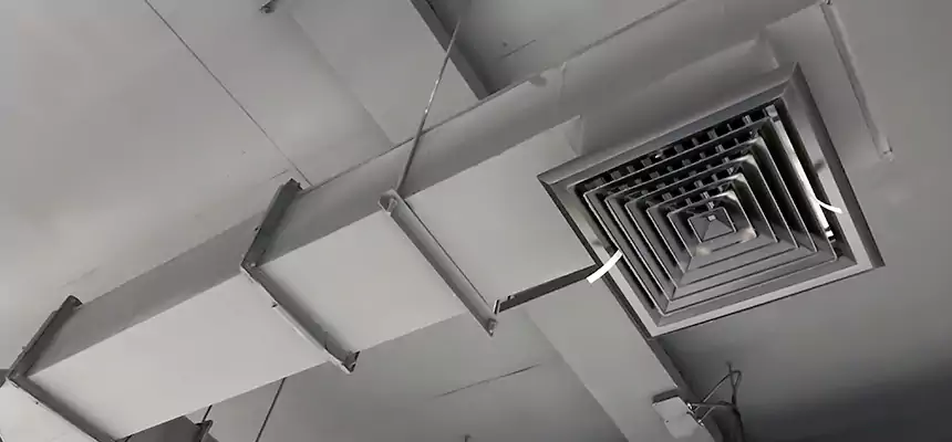 Our Rodent Droppings In Vents Services in Orangevale, CA