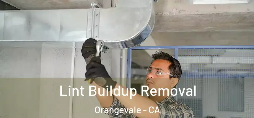 Lint Buildup Removal Orangevale - CA