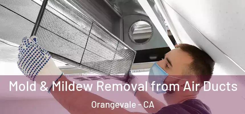 Mold & Mildew Removal from Air Ducts Orangevale - CA