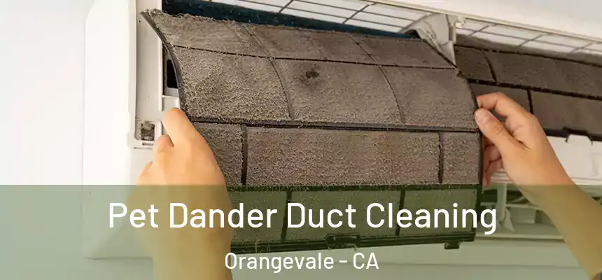 Pet Dander Duct Cleaning Orangevale - CA