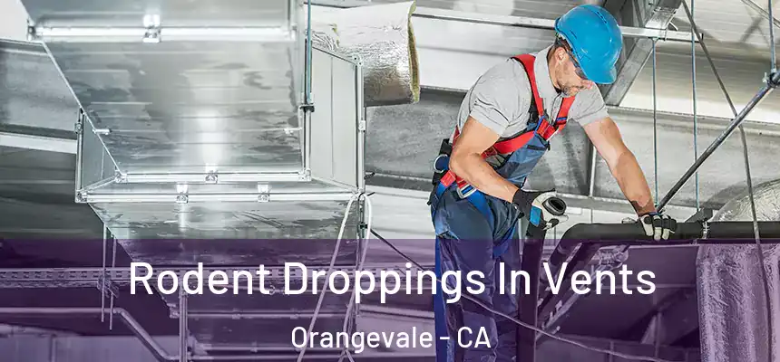 Rodent Droppings In Vents Orangevale - CA