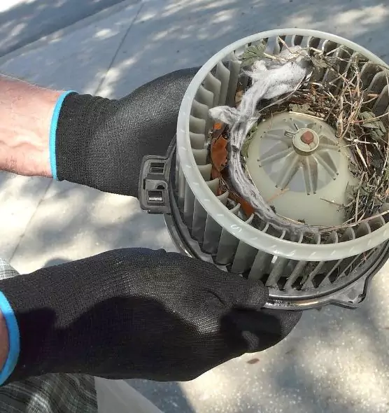 About Air Duct Rat Removal in Orangevale, CA