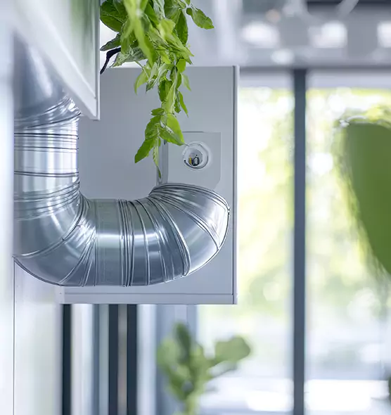 Professional Eco-Safe Dryer Vent Cleaning in Orangevale, CA