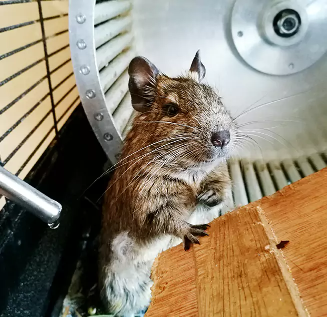 Why Homeowners & Businesses Trust Us Orangevale, CA