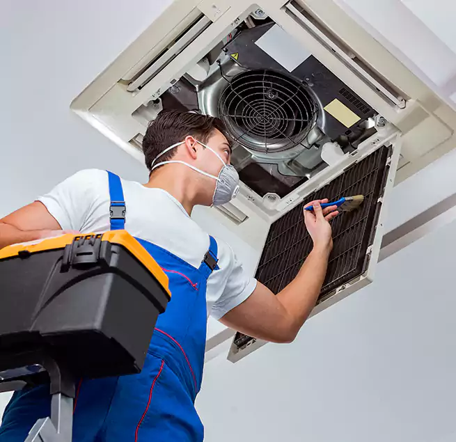 Why Homeowners & Businesses Trust Us in Orangevale, CA