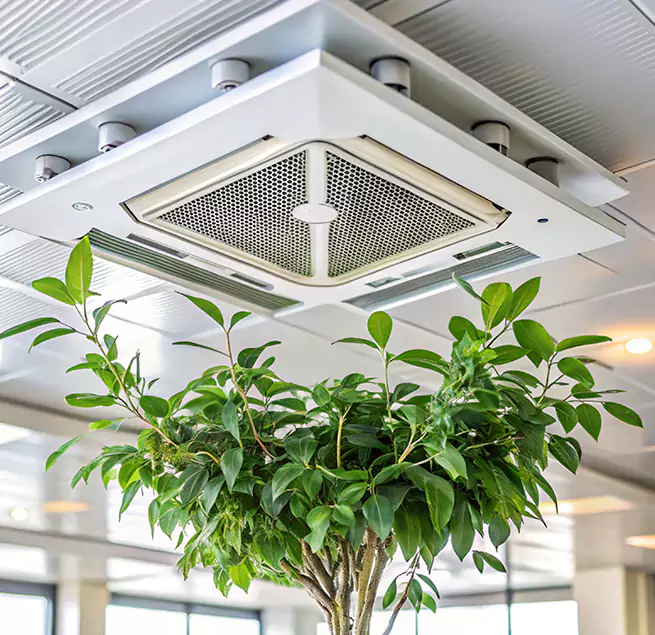 Why Homeowners & Businesses Trust Us in Orangevale, CA?