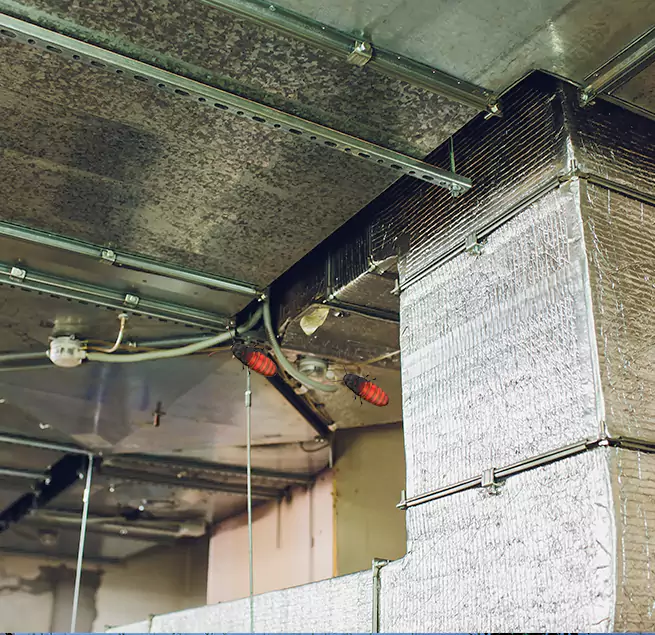 Why Homeowners & Businesses Trust Us Orangevale, CA?