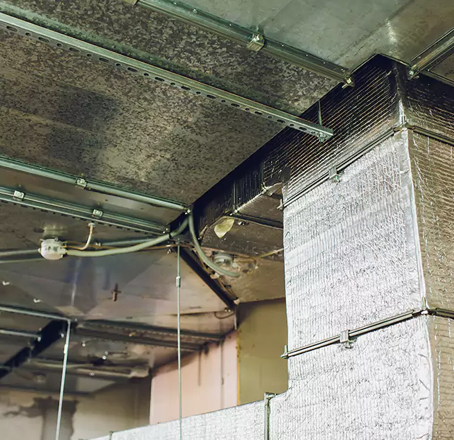 Why Homeowners & Businesses Trust Us in Orangevale, CA?