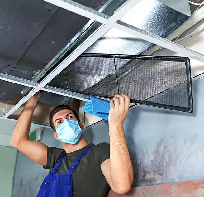 Why Homeowners Businesses Trust Us in Orangevale, CA